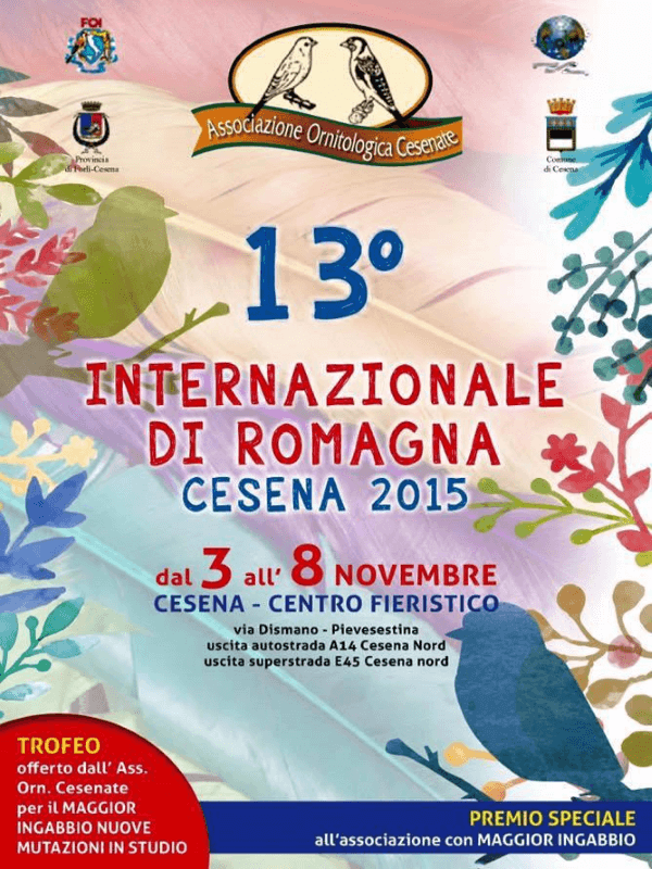 13° Internazionale di Romagna 2015