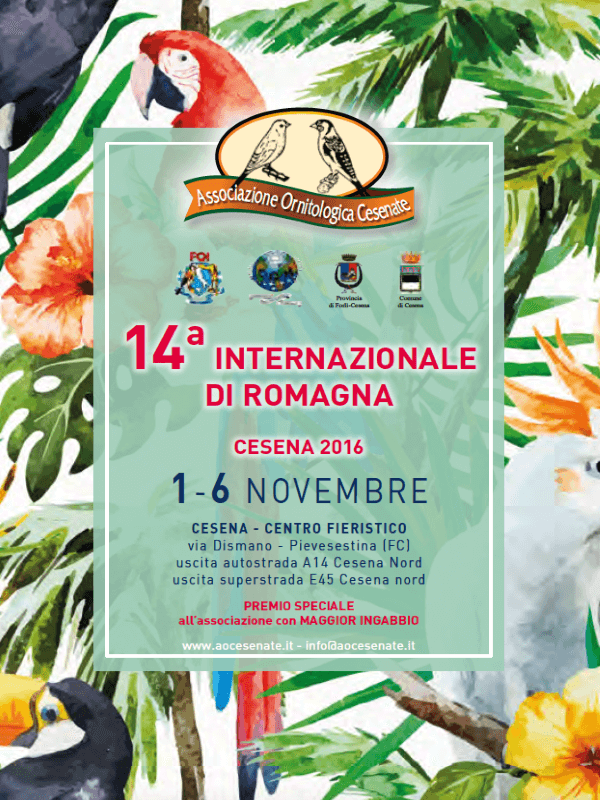 14° Internazionale di Romagna 2016