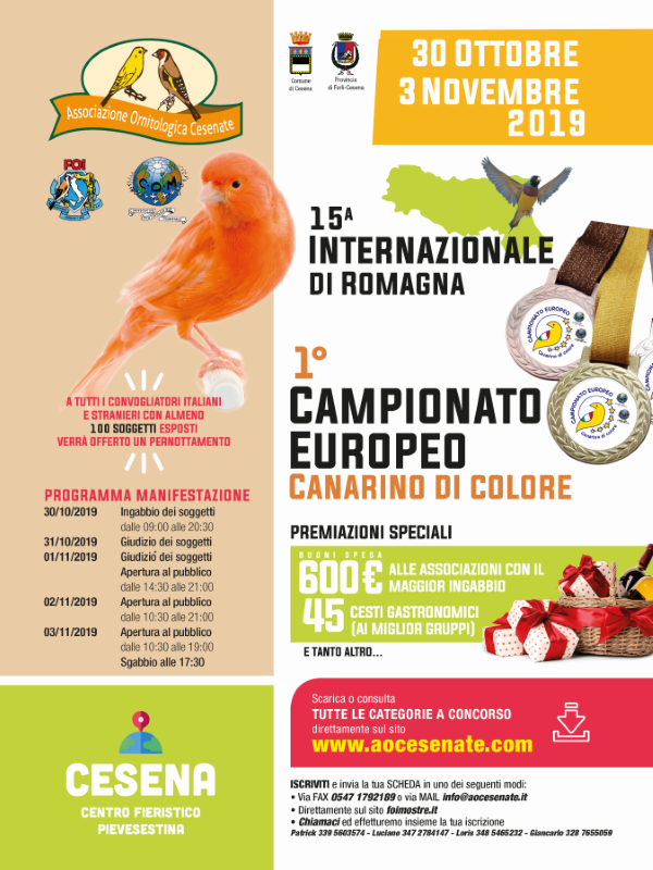 15° Internazionale di Romagna 2019