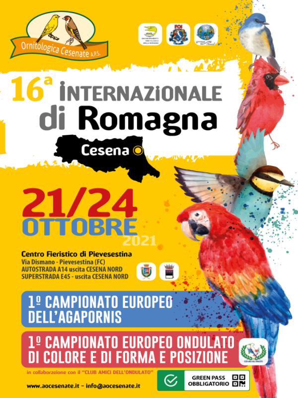 16° Internazionale di Romagna