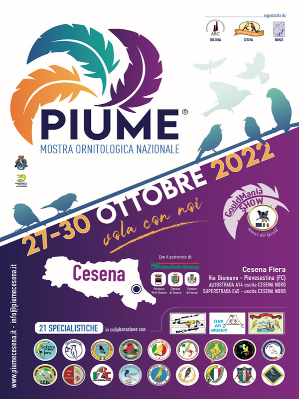 Piume 2022